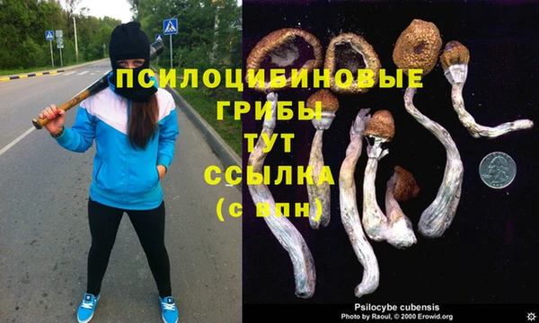 скорость Балахна