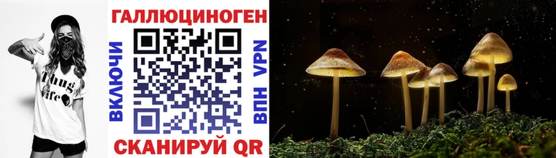 Галлюциногенные грибы Magic Shrooms  Судак 